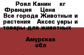  Роял Канин 20 кг Франция! › Цена ­ 3 520 - Все города Животные и растения » Аксесcуары и товары для животных   . Амурская обл.,Архаринский р-н